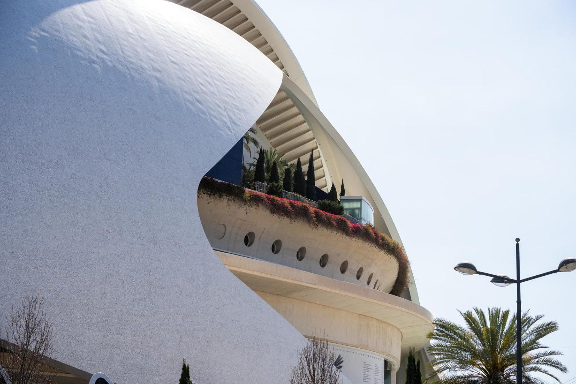 Alojamiento Junto Al Oceanografic บาเลนเซีย ภายนอก รูปภาพ
